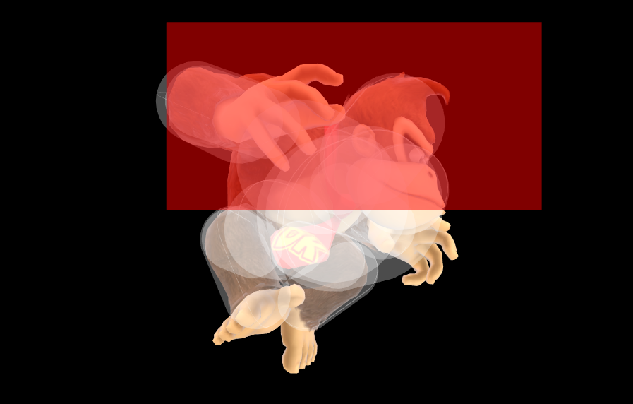 Hitbox Image